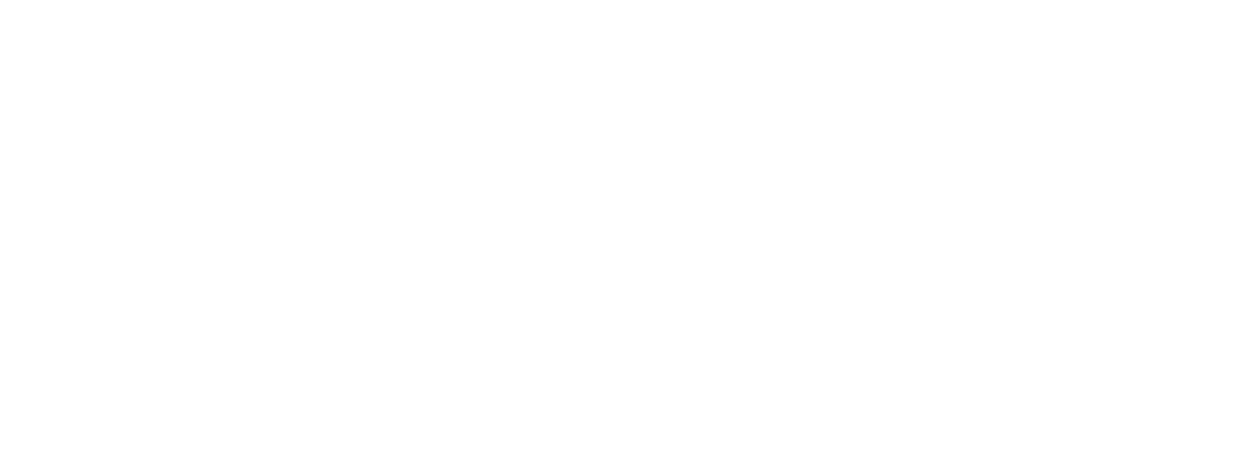 Carabineros de Chile